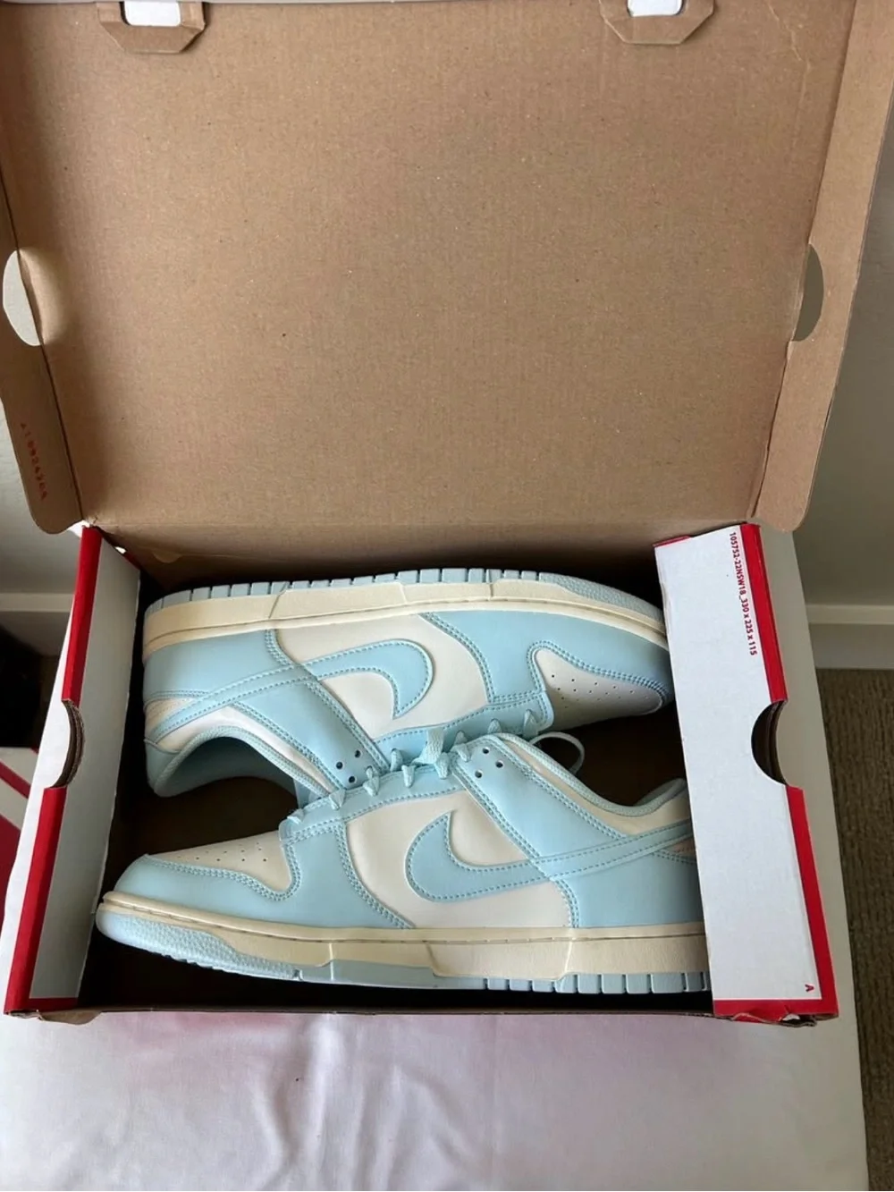Brand New Nike Dunk Low, Men’s 11